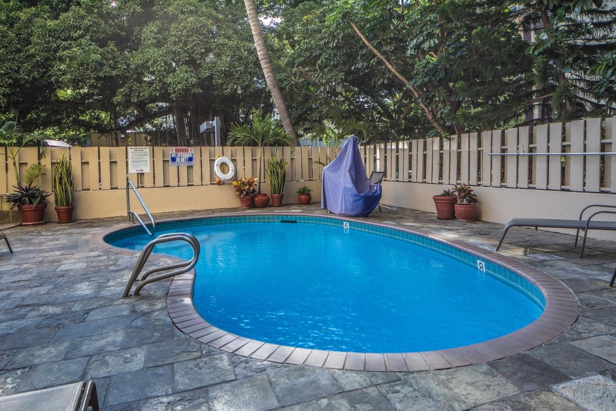 Beautiful Studio In The Heart Of Vibrant Waikiki Гонолулу Экстерьер фото